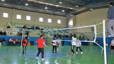 Voleybol Eğitiminde Koçluk ve Mentorluk: Tecrübeli Oyunculardan Destek Almak