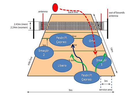 Voleybol Pozisyonları ve Görevleri